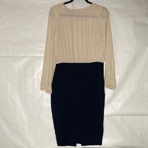 Zara Beige and Black Long Sleeve Two-Tone Sheath Dress
